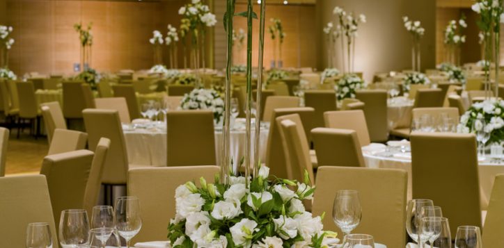grand-efes-ballroom-swissotel-buyuk-efes-izmir-1-2