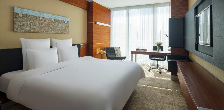 swissotel-buyuk-efes-izmir-classic-room_city_view-2