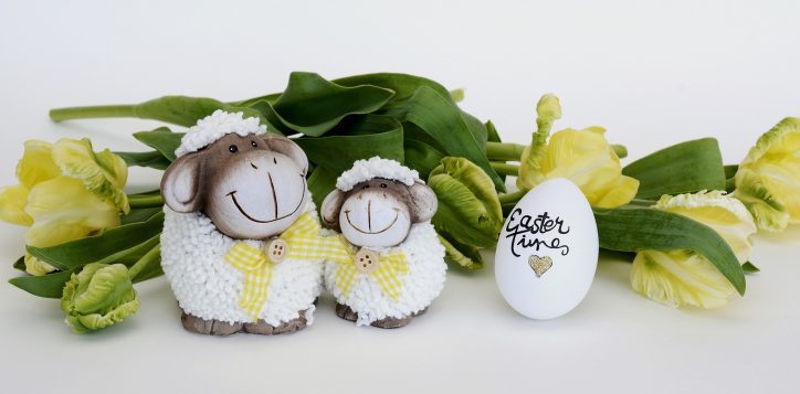 sheep-easter-2