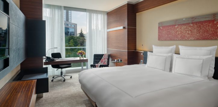 advantage_room_city_double-buyuk-2
