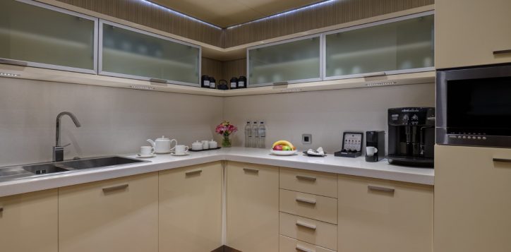 presidential_suite_kitchnette-buyuk-2