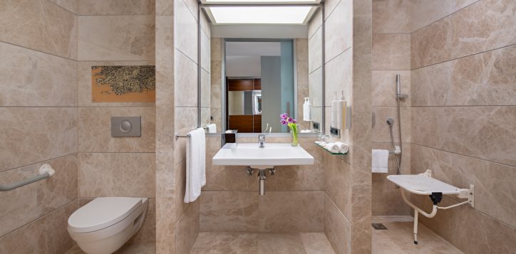 disabled-bathroom_w-2