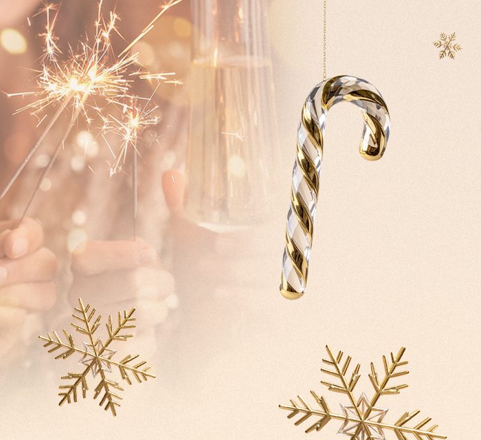 new-years-celebration-for-families-and-little-ones-at-cafe-swiss